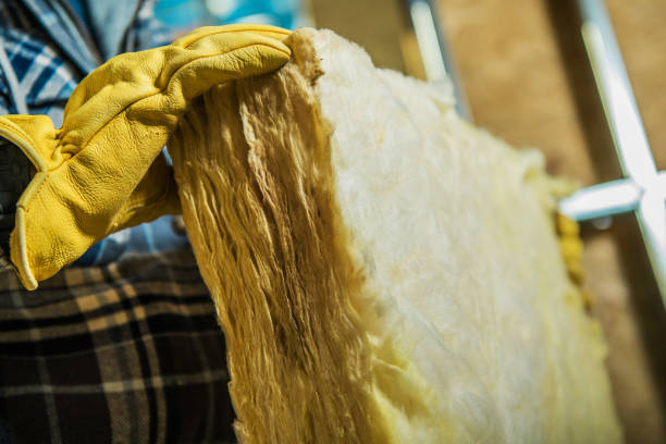 Best Insulation Installation Services in Waycross, GA